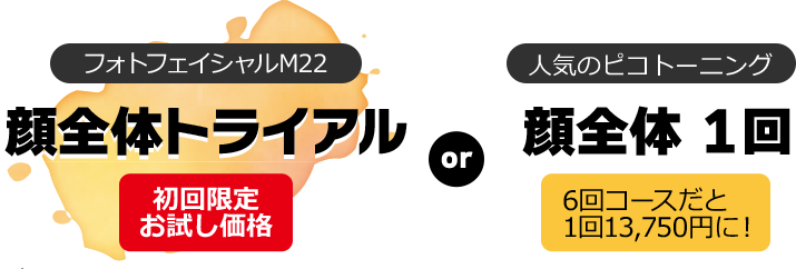 顔全体トライアル or 顔全体 1回